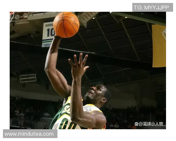 希腊女篮对决尼日利亚展现篮球激情与实力的巅峰较量