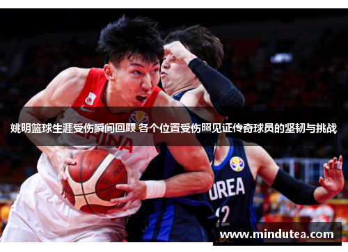 姚明篮球生涯受伤瞬间回顾 各个位置受伤照见证传奇球员的坚韧与挑战