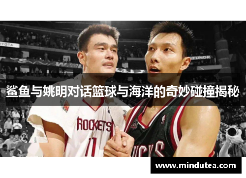 鲨鱼与姚明对话篮球与海洋的奇妙碰撞揭秘