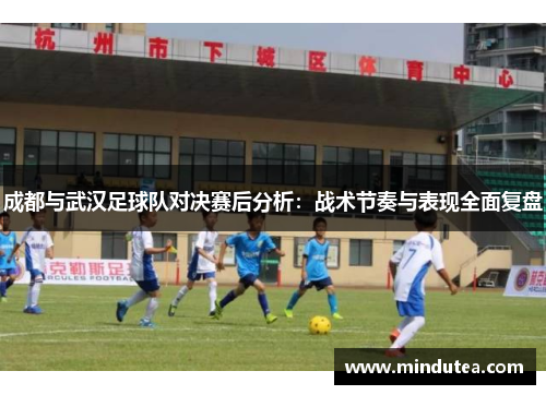 成都与武汉足球队对决赛后分析：战术节奏与表现全面复盘