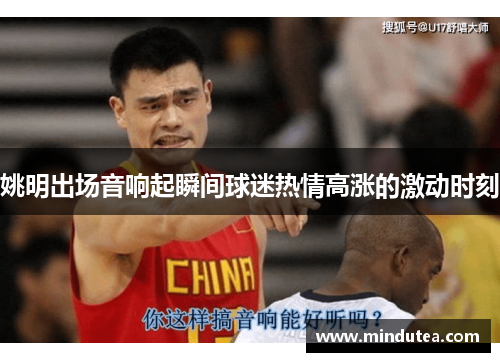 姚明出场音响起瞬间球迷热情高涨的激动时刻