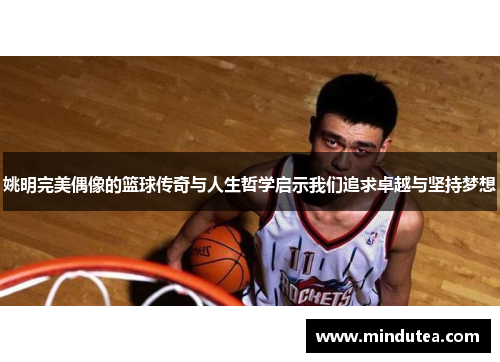 姚明完美偶像的篮球传奇与人生哲学启示我们追求卓越与坚持梦想