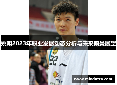 姚明2023年职业发展动态分析与未来前景展望