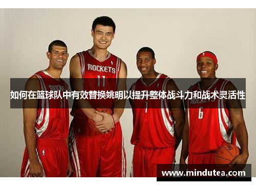 如何在篮球队中有效替换姚明以提升整体战斗力和战术灵活性